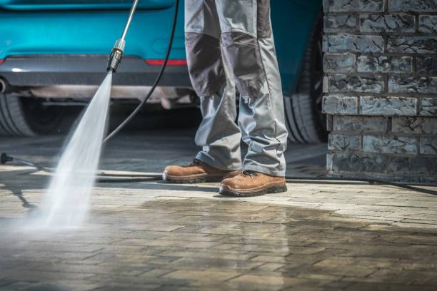 Best Dumpster Area Cleaning  in Agler Estates, FL
