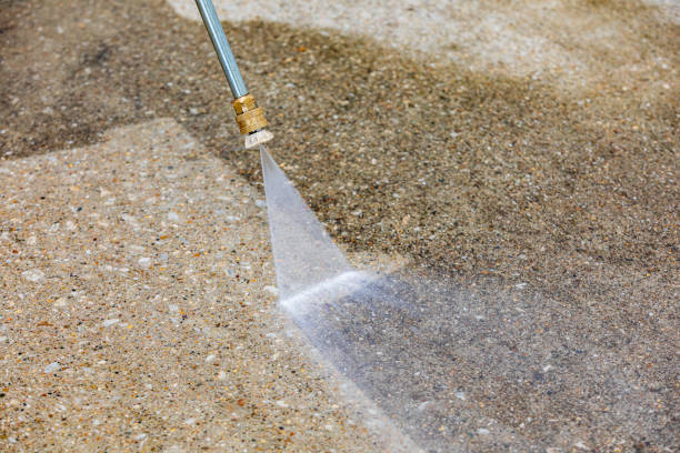 Best Sidewalk and Walkway Cleaning  in Agler Estates, FL