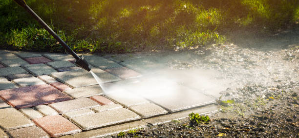 Best Graffiti Removal  in Agler Estates, FL